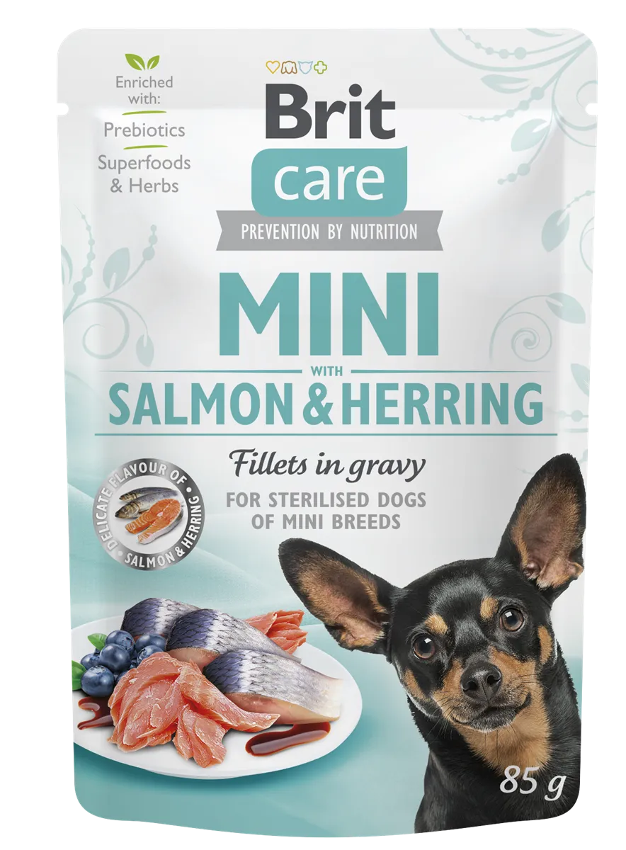 Brit Care Mini Irk Kısırlaştırılmış Yetişkin Köpekler İçin Sos İçinde Somon & Ringa Balıklı Fileto Parçaları 85 gr 1